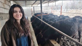 Atama beklerken hayvancılığa başladı