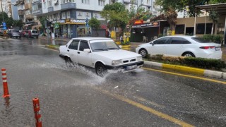 Aydında hafta sonu yağışlı hava sevindirdi