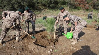Aydında şehit polisler adına fidan dikildi