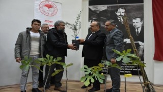 Aydında üreticilere 74 bin 90 fide dağıtılacak