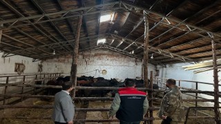 Aydıntepede hayvancılığa destek projesinde ilk hayvan teslimi yapıldı