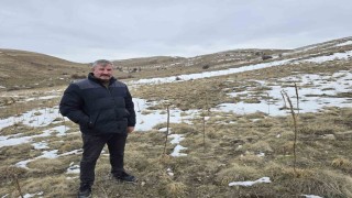 Babasıyla tartıştı, vadeli koyun alarak kendi sürüsüne sahip oldu