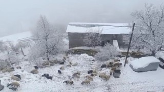 Bahçesarayda kar yağışı
