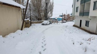 Başkalede kar etkili oldu