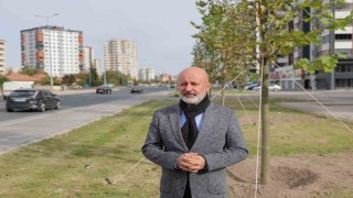 Başkan Çolakbayrakdar: Yeşil alanda dünya standartlarını üçe katlıyoruz