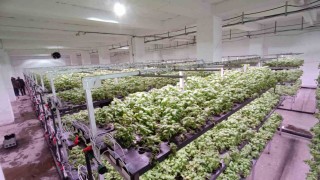 Batmana eksi birinci katta 30 milyonluk dikey tarım yatırımı