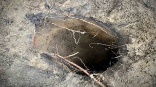 Belarusta 180 kaçak göçmen kazdıkları tünelle Polonyaya geçti