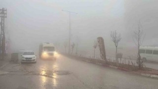 Besnide yoğun sis etkili oldu