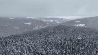 Beyaza bürünen Ilgaz Dağı havadan görüntülendi