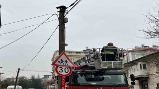 Beyşehirde itfaiye merdiveni bu kez direğin tepesindeki kedi için uzatıldı
