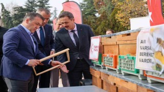 Bilecikte bu yıl 126 bin 524 kilogram bal üretildi
