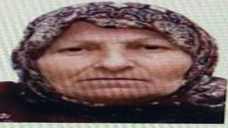 Bilecikte kaybolan yaşlı kadını jandarma buldu