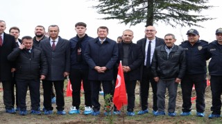 Bilecikte şehitler adına fidan dikimi gerçekleştirildi