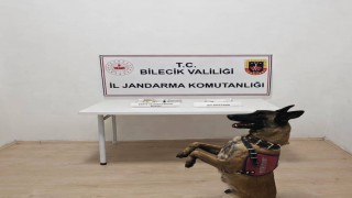Bilecikte şüpheli araç içinde uyuşturucu madde bulundu