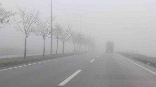 Bingölde yoğun sis etkili oldu