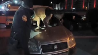 Bitliste 6 kilo 100 gram skunk maddesi ele geçirildi