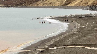 Bitliste bir yanda kar esareti, bir yanda su keyfi