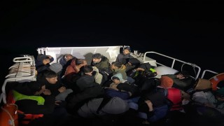 Bodrumda 39 düzensiz göçmen yakalandı