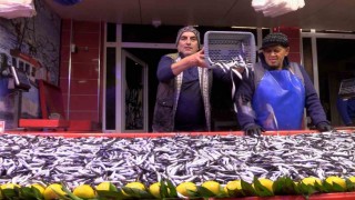 Boluda hamsinin kilosu 150 liraya düştü