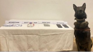 Boluda jandarmadan uyuşturucu operasyonu