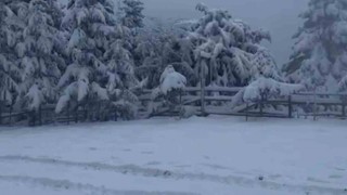 Boluda kış turizmine yapay kar desteği