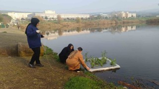 Botanik Bahçesinde Yüzen Adacıklarla Gölet Temizliği yapılıyor