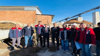 Bozdoğanda 8 bin 700 adet fidan dağıtıldı