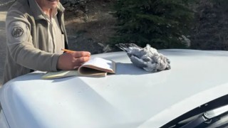 Burdurda kaçak avcılar ekiplere yakalandı