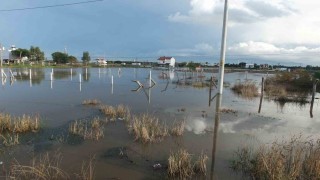 Burhaniye de yazlıklar su altında kaldı