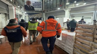 Bursada balık halinde gece operasyonu...615 kilo istavrite el konuldu