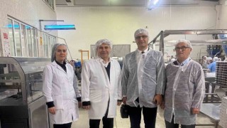 Bursada kestanenin geleceği ele alındı
