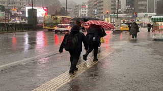 Bursalı çiftçilerin yağışlarla yüzü güldü