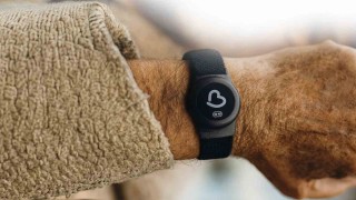 Büyükşehirden Alzheimer, Demans ve Otizm hastalarına Akıllı Takip Cihazı Desteği