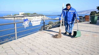 Büyükşehirden Kuşadasında çevre temizliği