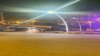 Caddede ilerleyen büyükbaş hayvanlar kamerada