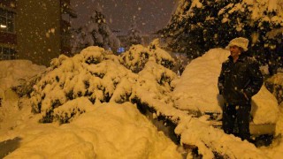 Çam ağacı park halindeki iki aracın üzerine devrildi