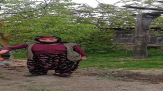 Çanakkalede kaybolan Alzheimer hastası ölü bulundu