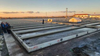 Çanakkaledeki deniz solucanları yetiştiriciliği tesisi sektörde tek