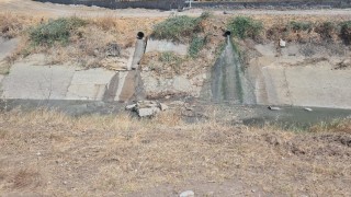 Çevreyi kirleten işletme hakkında yasal işlem başlatıldı