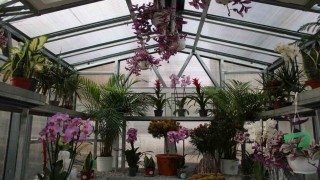 Çiçek Doktoru Ersan: İnsanlar bitkileriyle ilgili yaşamış oldukları sorunları bana iletiyor, ben de onlara çözümler üretiyorum