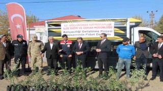 Çiftçilere 4 bin zeytin fidanı dağıtıldı