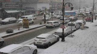 Cizrede kar yağışı hava ve kara ulaşımını felç etti