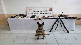 Çorum jandarmasından düğün magandalarına operasyon : 11 gözaltı