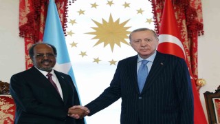 Cumhurbaşkanı Erdoğan, Somalili mevkidaşı Hasan Şeyh Mahmudla bir araya geldi