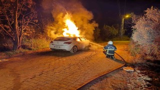 Defnede otomobil alevlere teslim oldu