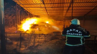 Defnede samanlık yangını