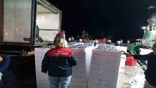 Demirköyde hamsi denetimi