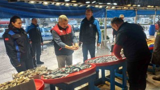 Denetim geldi, gerçek ortaya çıktı: Tezgahtaki balık kolyoz çıktı