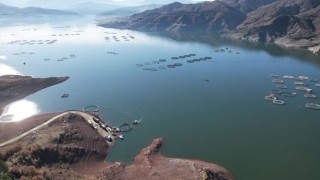 Denize Kıyısı Yok, Dünyaya Somon İhraç Ediyor