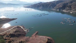 Denizi olmayan Tokatın somonları dünya sofralarına ulaşıyor